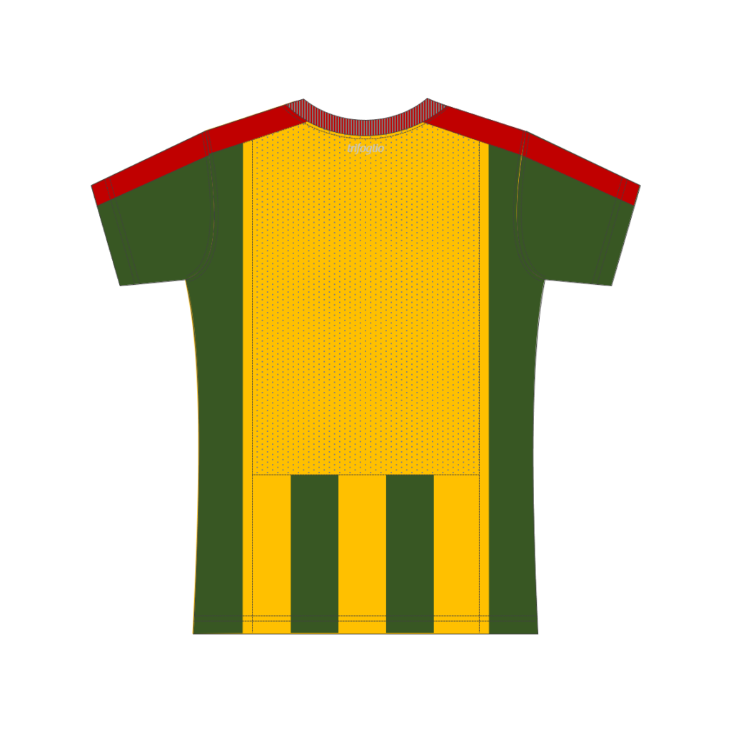 Senegal-Home-Jersey-Trasero-1024x1024.png